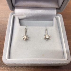 PT900ダイヤモンドイヤリング