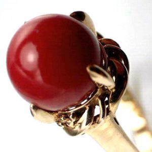 サンゴリング20g