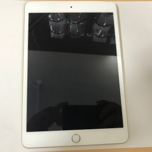 iPad mini 3