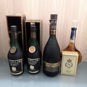 カミュ XO エクストラ ナポレオン ミニブック レミーマルタン VSOP 等