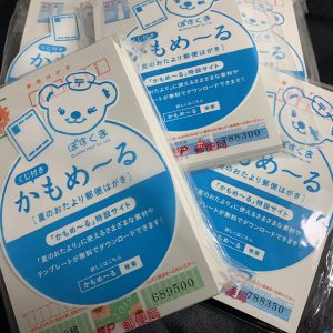 2019年　かもめーる（バラ）