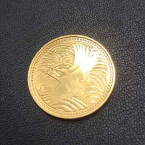 皇太子殿下御成婚記念5万円金貨