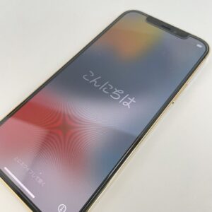 Apple iPhone12 Pro 256GB