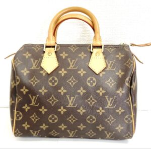 LOUIS VUITTON ルイヴィトン スピーディ
