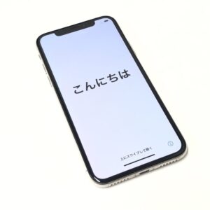 Apple iPhoneX A1902 MQC22JA 256GB