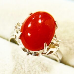 Pt900 サンゴリング