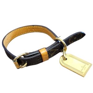 ルイヴィトン モノグラム コリエ・バクスター PM