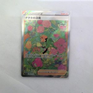 ポケモンカード ナタネの活気