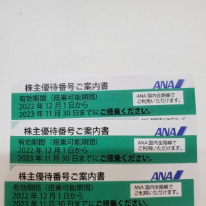 株主優待券(ANA) チケット