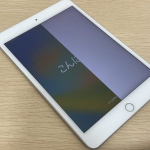 iPad mini5 / 64GB ジャンク