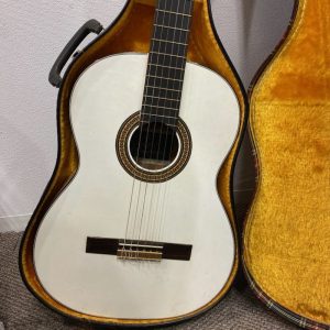 アコーティックギター