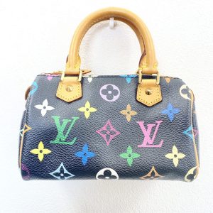 Louis Vuitton ルイヴィトン ミニ スピーディ マルチカラー
