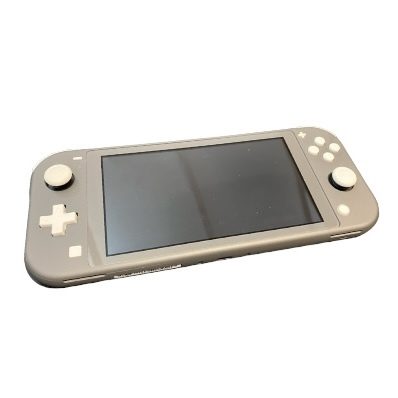 Nintendo Switch Light ニンテンドースイッチライト