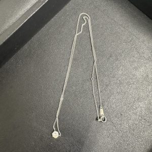Pt850 ネックレス