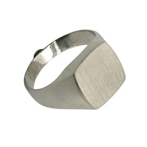 pt1000  印台リング 指輪 8.8グラム | 狭山市新狭山