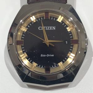 CITIZEN / BN1010-05E / 腕時計