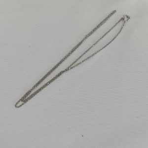 Pt850 ネックレス