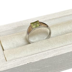 Pt900 プラチナ リング 石付き ジュエリー 貴金属
