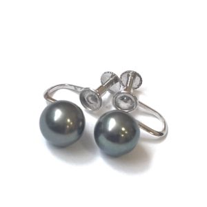 PT900 アクセサリー