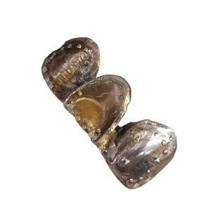 金歯（きんば）