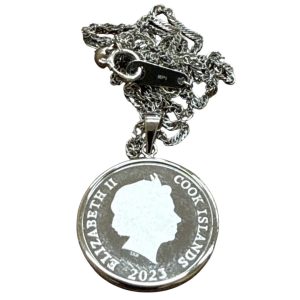 Pt1000 Pt900 ネックレス コイン