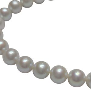 函館市でタサキのパールネックレスを高価買取 タサキ製品は評価が安定しています