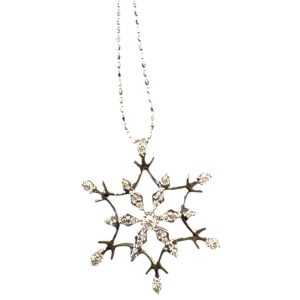 Pt850 ネックレス