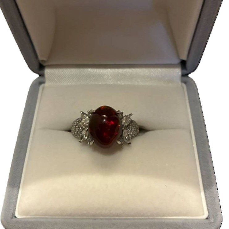 Pt900 ガーネット リング