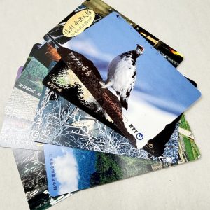 テレホンカード / テレカ / NTT / 50 / 未使用