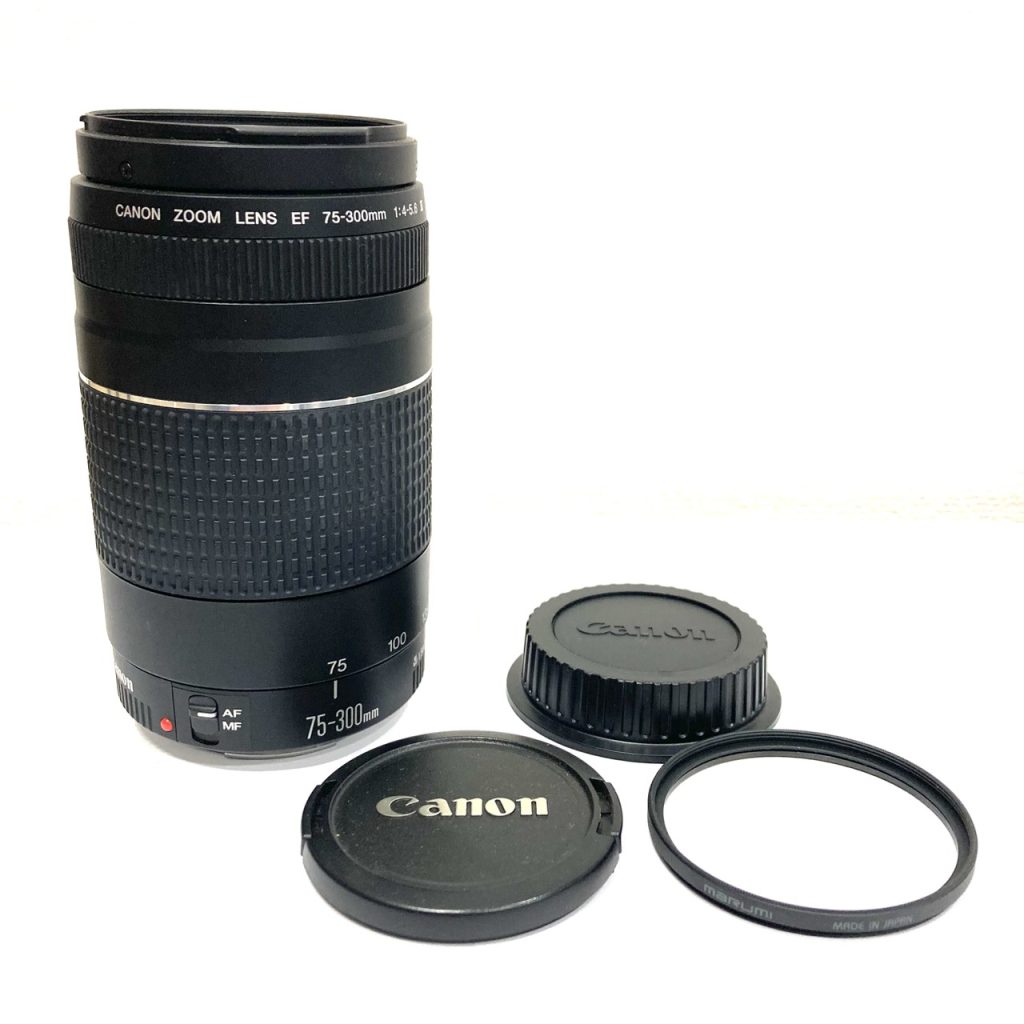 キャノン カメラレンズ EF 75-300mm 4-5.6 Ⅲ
