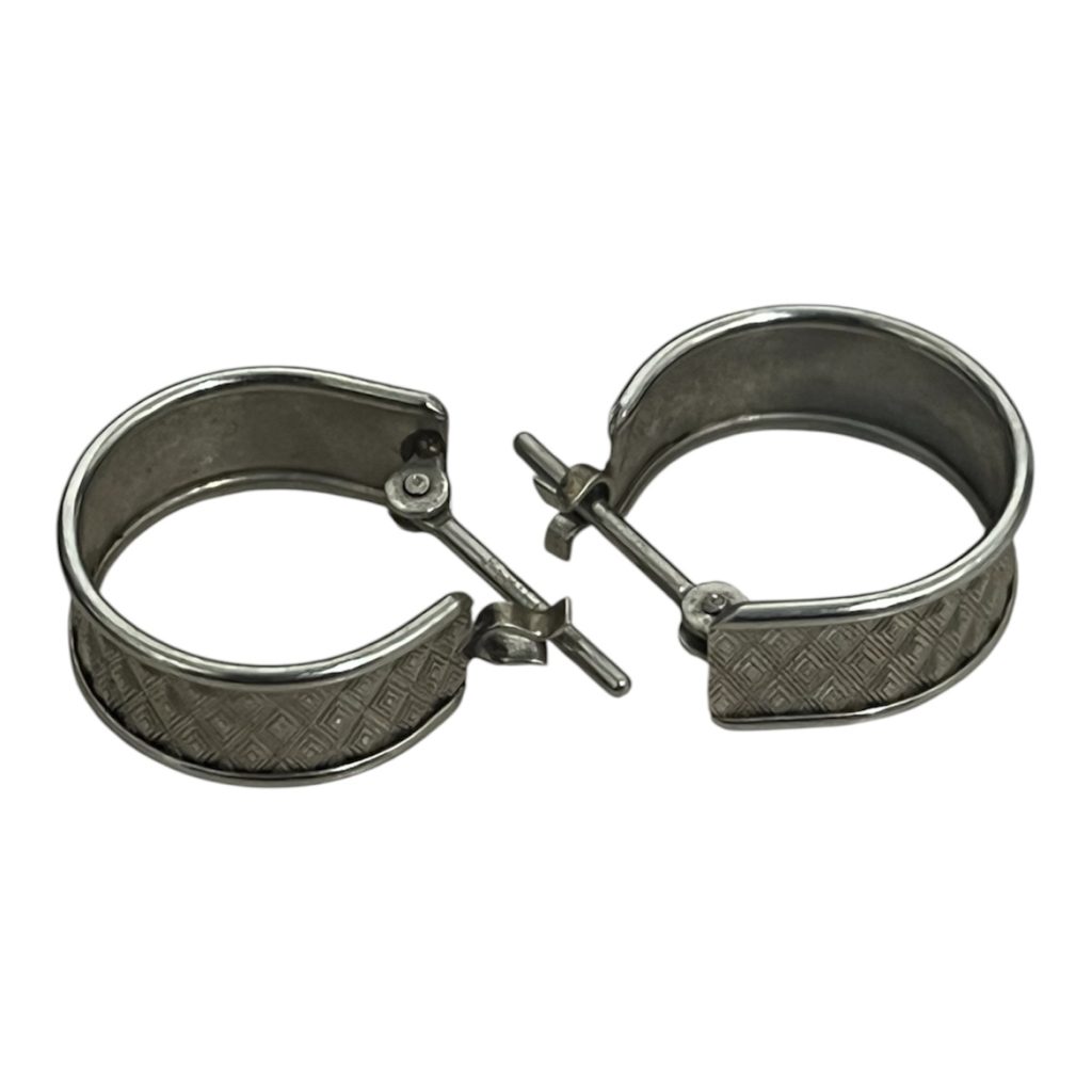 Pt900 プラチナ イヤリング