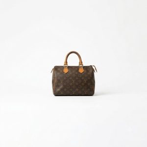 LOUIS VUITTON（ルイヴィトン）  ミニボストンバッグ