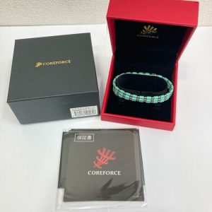 コアフォースループ