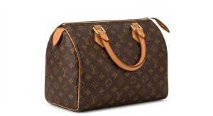 ルイ・ヴィトン（Louis Vuitton） モノグラム スピーディ25