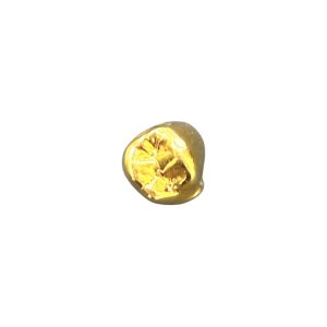 【歯なし】金歯