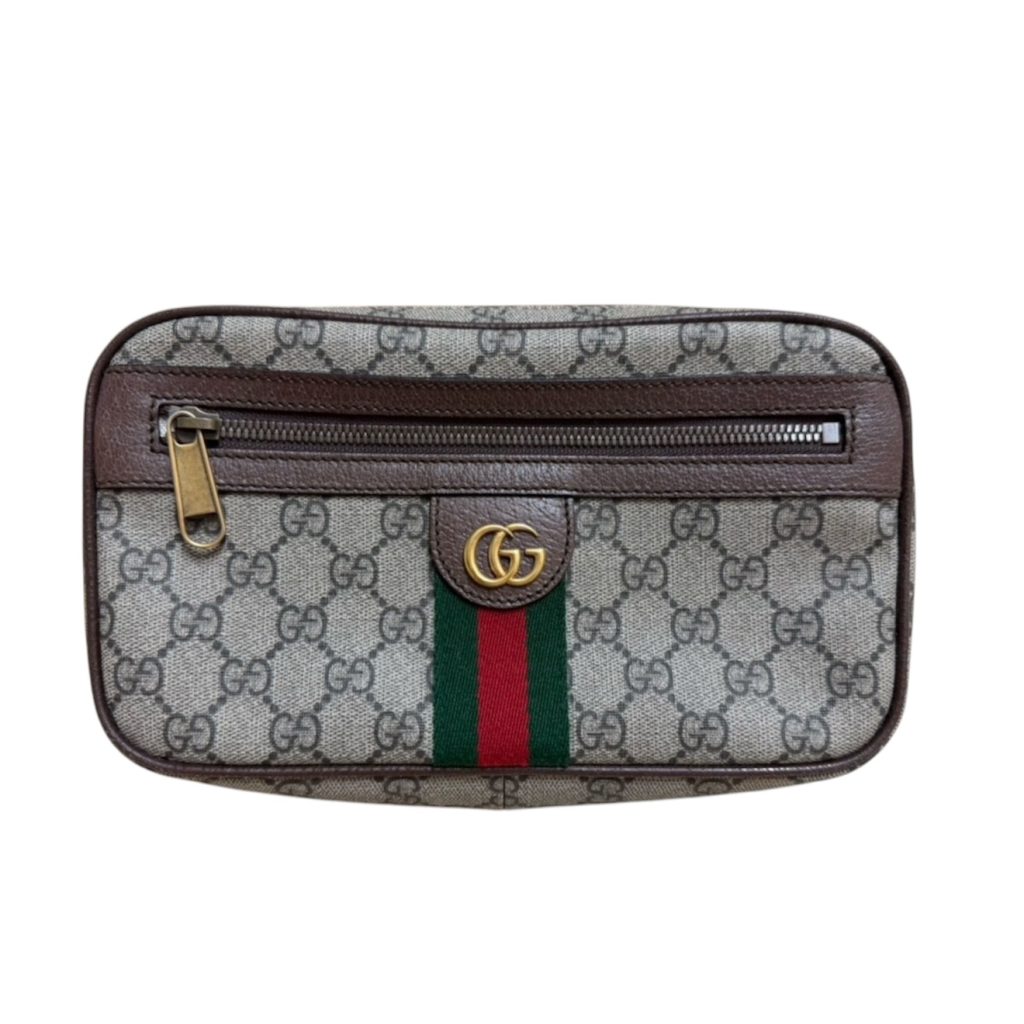 GUCCI オフィディア GG ベルトバッグ